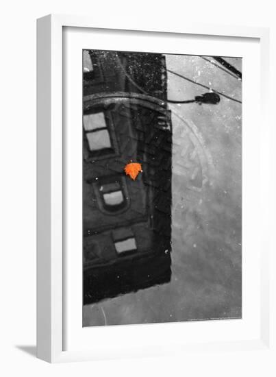 Colorful Leaf In B/W Reflection NYC-null-Framed Photo