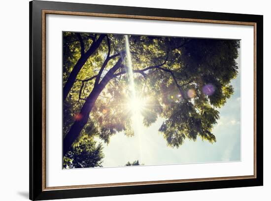 Colorful Leaves with Sunbeam, Toned Image-seewhatmitchsee-Framed Photographic Print