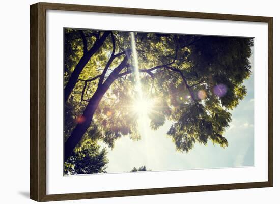 Colorful Leaves with Sunbeam, Toned Image-seewhatmitchsee-Framed Photographic Print