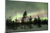 Colorful lights of the Northern Lights (Aurora Borealis) and starry sky on the snowy woods, Levi, S-Roberto Moiola-Mounted Photographic Print