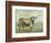 Colorful Longhorn Cow-Silvia Vassileva-Framed Art Print