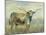 Colorful Longhorn Cow-Silvia Vassileva-Mounted Art Print