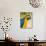 Colorful Macaw Bird, Chichicastenango, Guatemala-Bill Bachmann-Photographic Print displayed on a wall