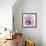 Colorful Mix Flowers-Ata Alishahi-Framed Giclee Print displayed on a wall