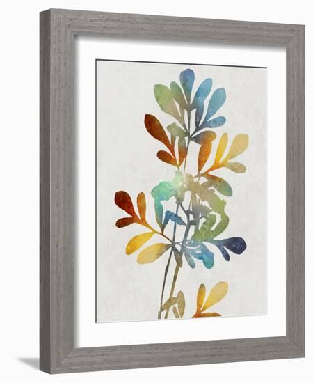 Colorful Nature II-Danielle Carson-Framed Art Print