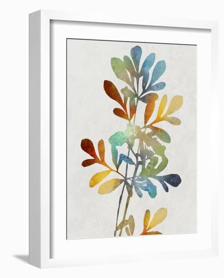 Colorful Nature II-Danielle Carson-Framed Art Print