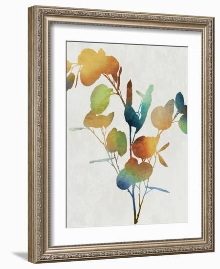 Colorful Nature III-Danielle Carson-Framed Art Print