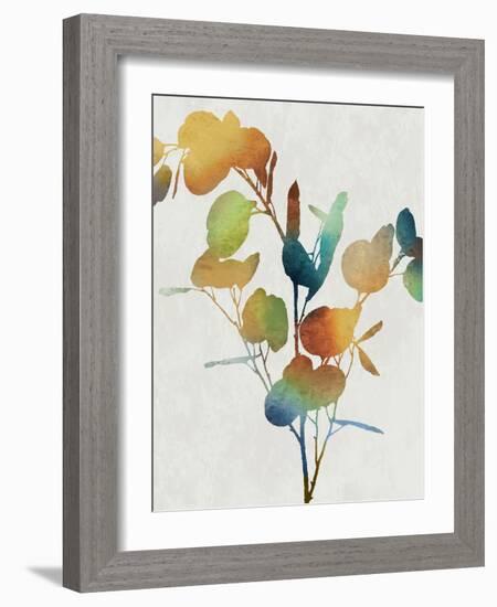 Colorful Nature III-Danielle Carson-Framed Art Print