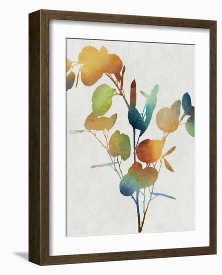 Colorful Nature III-Danielle Carson-Framed Art Print