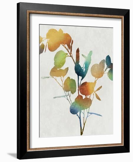 Colorful Nature III-Danielle Carson-Framed Art Print