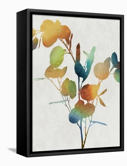 Colorful Nature III-Danielle Carson-Framed Stretched Canvas