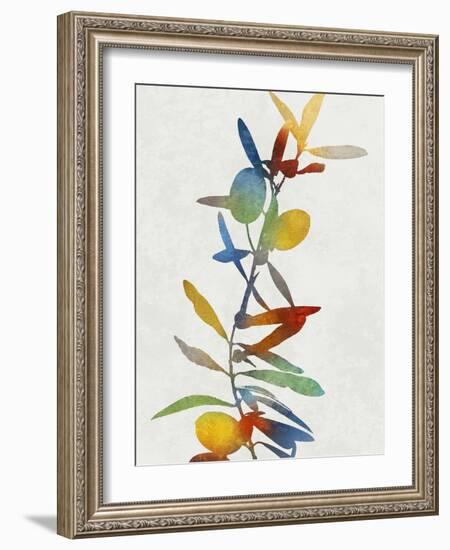 Colorful Nature IV-Danielle Carson-Framed Art Print