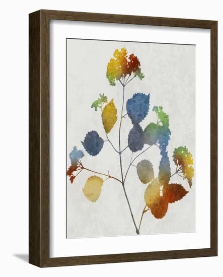 Colorful Nature VI-Danielle Carson-Framed Art Print