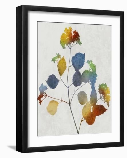 Colorful Nature VI-Danielle Carson-Framed Art Print