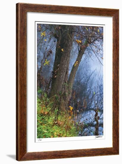 Colorful Oak-Donald Satterlee-Framed Giclee Print