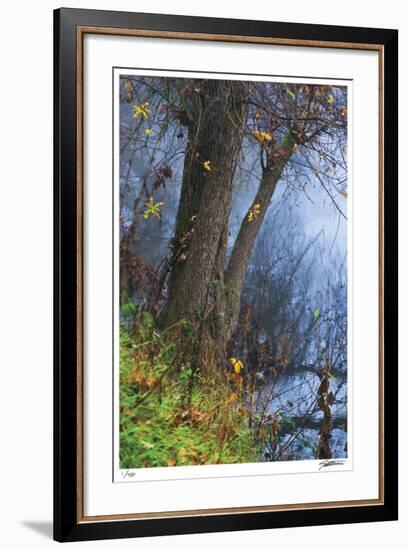 Colorful Oak-Donald Satterlee-Framed Giclee Print