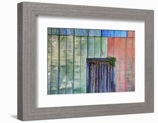 Colorful Old Tin Shed with Wooden Door, Apalachicola, Florida, USA-Joanne Wells-Framed Photographic Print