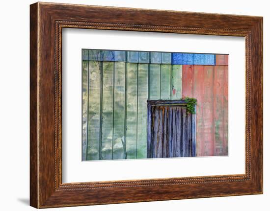 Colorful Old Tin Shed with Wooden Door, Apalachicola, Florida, USA-Joanne Wells-Framed Photographic Print