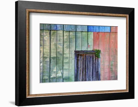 Colorful Old Tin Shed with Wooden Door, Apalachicola, Florida, USA-Joanne Wells-Framed Photographic Print