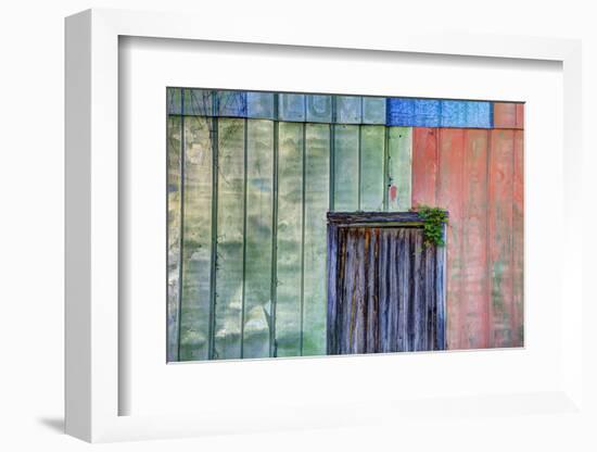 Colorful Old Tin Shed with Wooden Door, Apalachicola, Florida, USA-Joanne Wells-Framed Photographic Print