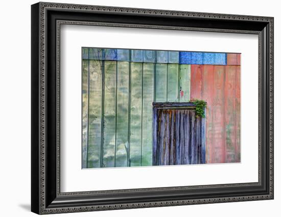 Colorful Old Tin Shed with Wooden Door, Apalachicola, Florida, USA-Joanne Wells-Framed Photographic Print