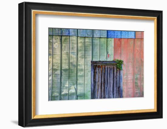 Colorful Old Tin Shed with Wooden Door, Apalachicola, Florida, USA-Joanne Wells-Framed Photographic Print