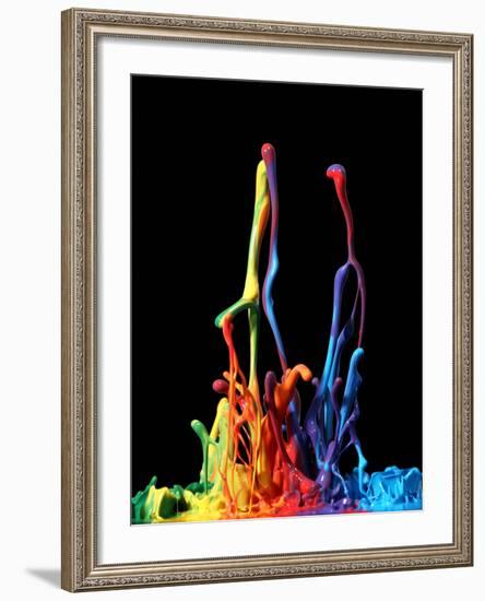 Colorful Paint Splashing Isolated on White-Leigh Prather-Framed Photographic Print