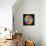 Colorful Pattern-Maksim Krasnov-Framed Stretched Canvas displayed on a wall