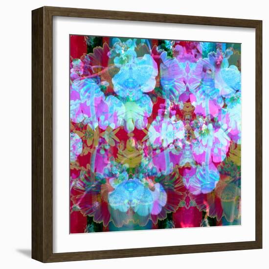 Colorful Photographic Layer Work from Orchids and Floral Ornaments-Alaya Gadeh-Framed Photographic Print