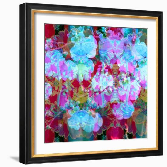Colorful Photographic Layer Work from Orchids and Floral Ornaments-Alaya Gadeh-Framed Photographic Print