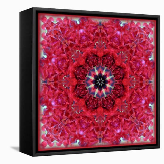 Colorful Photographic Layer Work from Red Roses-Alaya Gadeh-Framed Premier Image Canvas