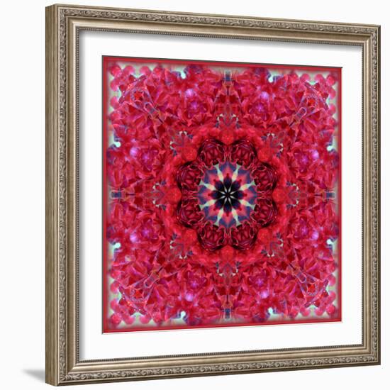 Colorful Photographic Layer Work from Red Roses-Alaya Gadeh-Framed Photographic Print