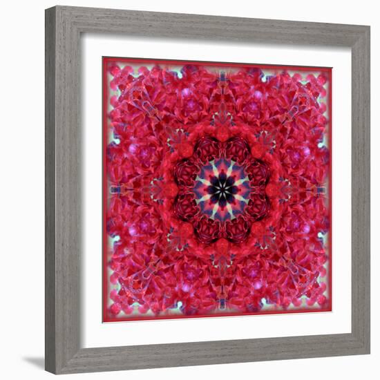 Colorful Photographic Layer Work from Red Roses-Alaya Gadeh-Framed Photographic Print