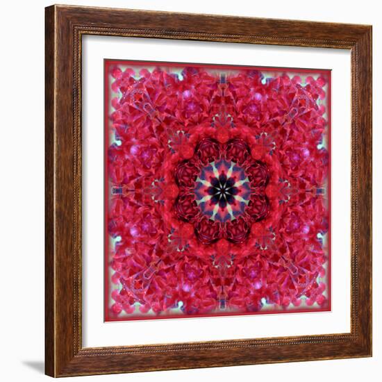 Colorful Photographic Layer Work from Red Roses-Alaya Gadeh-Framed Photographic Print