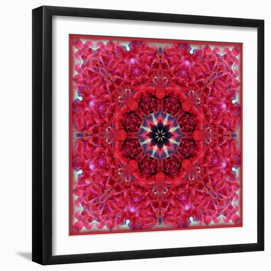 Colorful Photographic Layer Work from Red Roses-Alaya Gadeh-Framed Photographic Print