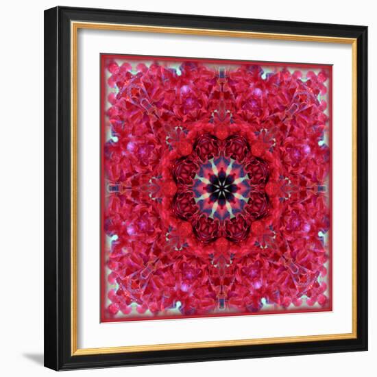 Colorful Photographic Layer Work from Red Roses-Alaya Gadeh-Framed Photographic Print