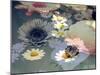 Colorful Photographic Layer Work of Blossoms-Alaya Gadeh-Mounted Photographic Print