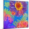 Colorful Photographic Layer Work of Blossoms-Alaya Gadeh-Mounted Photographic Print