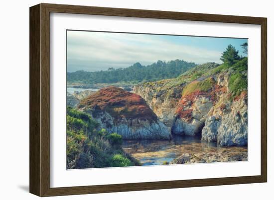 Colorful Point Lobos Seascape-Vincent James-Framed Photographic Print