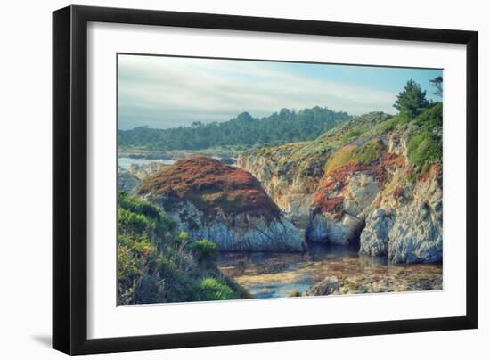 Colorful Point Lobos Seascape-Vincent James-Framed Photographic Print