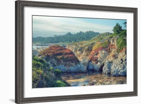 Colorful Point Lobos Seascape-Vincent James-Framed Photographic Print