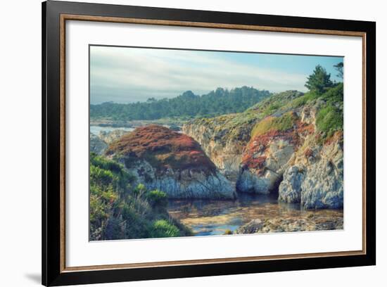 Colorful Point Lobos Seascape-Vincent James-Framed Photographic Print