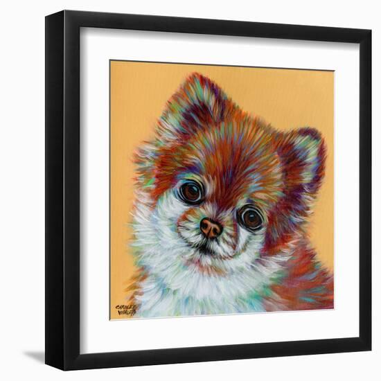 Colorful Pomeranian-Carolee Vitaletti-Framed Art Print