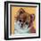 Colorful Pomeranian-Carolee Vitaletti-Framed Art Print