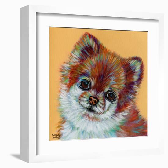 Colorful Pomeranian-Carolee Vitaletti-Framed Art Print