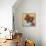 Colorful Pomeranian-Carolee Vitaletti-Framed Stretched Canvas displayed on a wall