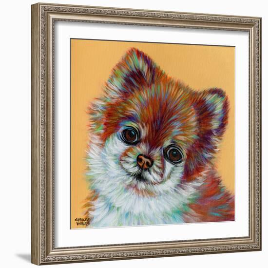 Colorful Pomeranian-Carolee Vitaletti-Framed Art Print