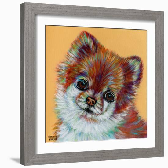 Colorful Pomeranian-Carolee Vitaletti-Framed Art Print