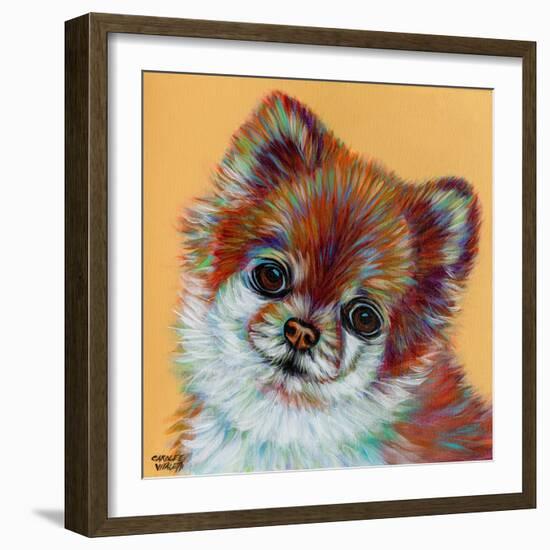 Colorful Pomeranian-Carolee Vitaletti-Framed Art Print