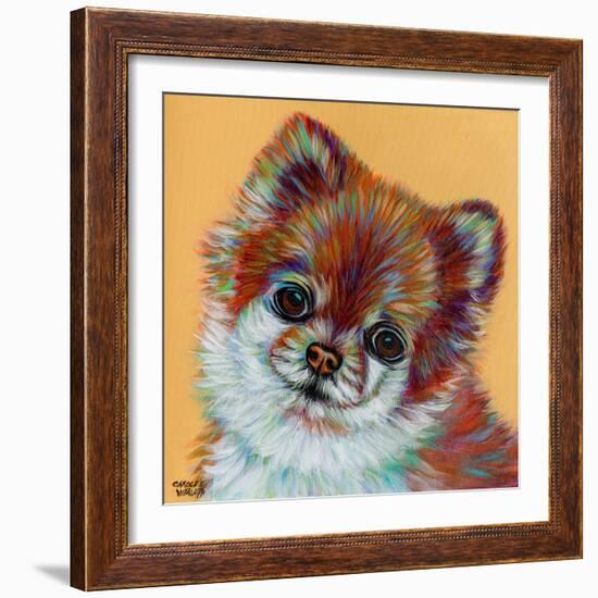 Colorful Pomeranian-Carolee Vitaletti-Framed Art Print